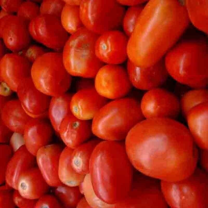 SCARBOROUGH SEEDS ORGANIC ROMA TOMATO 100 SEEDS HEIRLOOM NON-GMO OPEN-POLLINATED