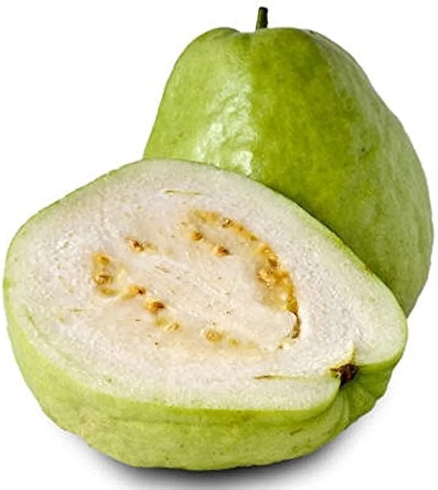 Thai White Guava Seeds (15) / Guayaba / Pearl Guava / Super Rare