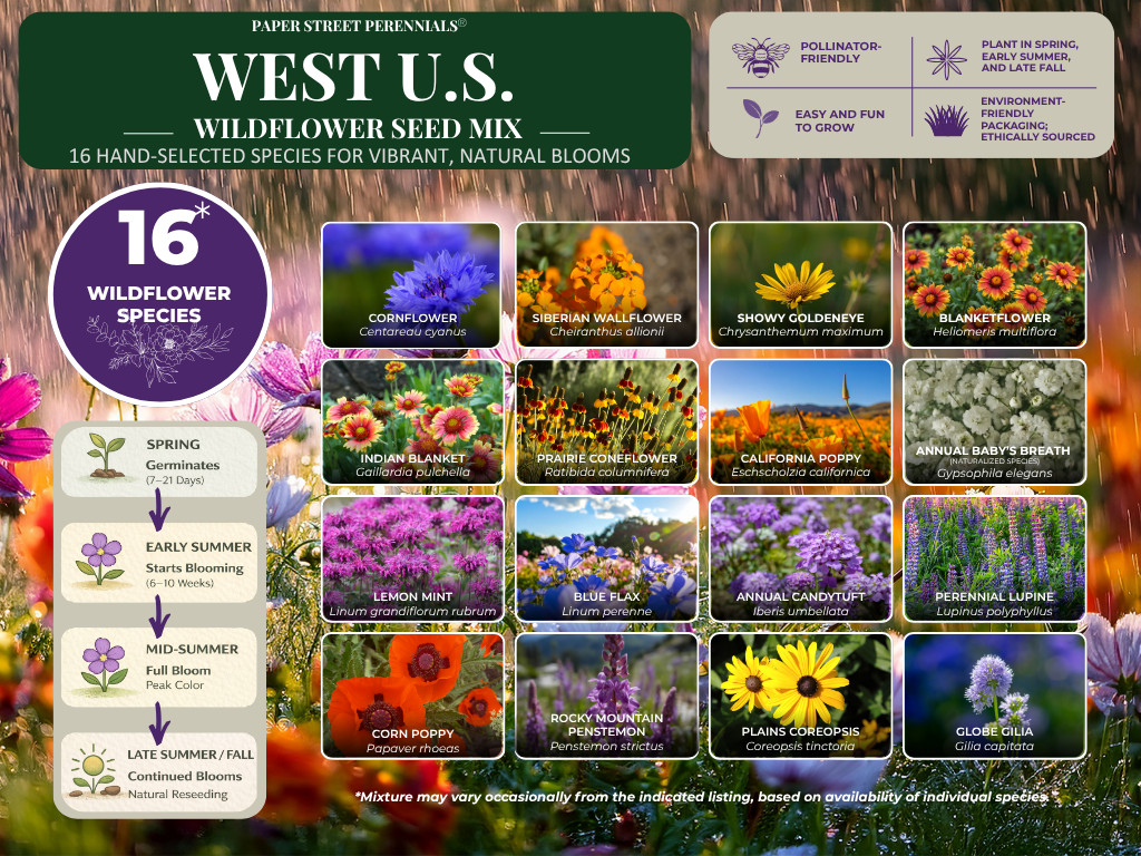 1/2 Pound Colorado Bulk Wildflower Seed Mix 1/2lb Covers 1,600sq-ft