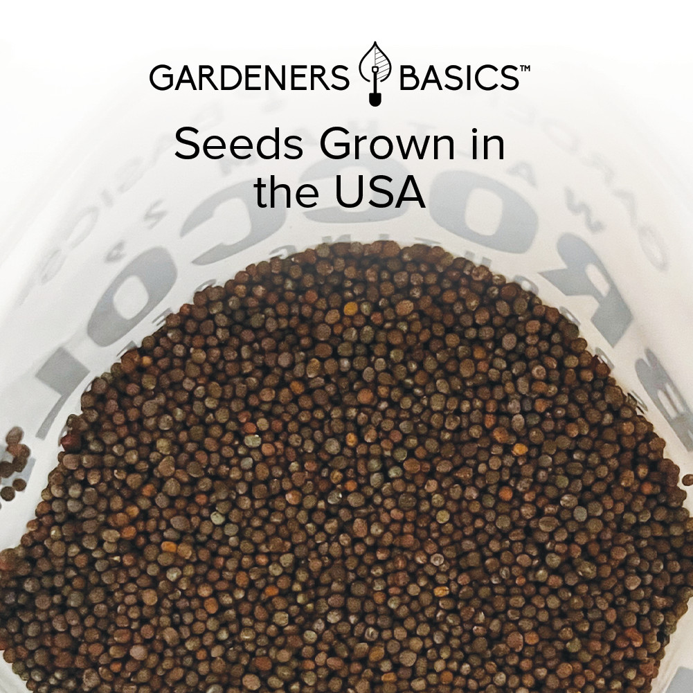 Waltham 29 Broccoli Sprouting Seeds – 1 Pound