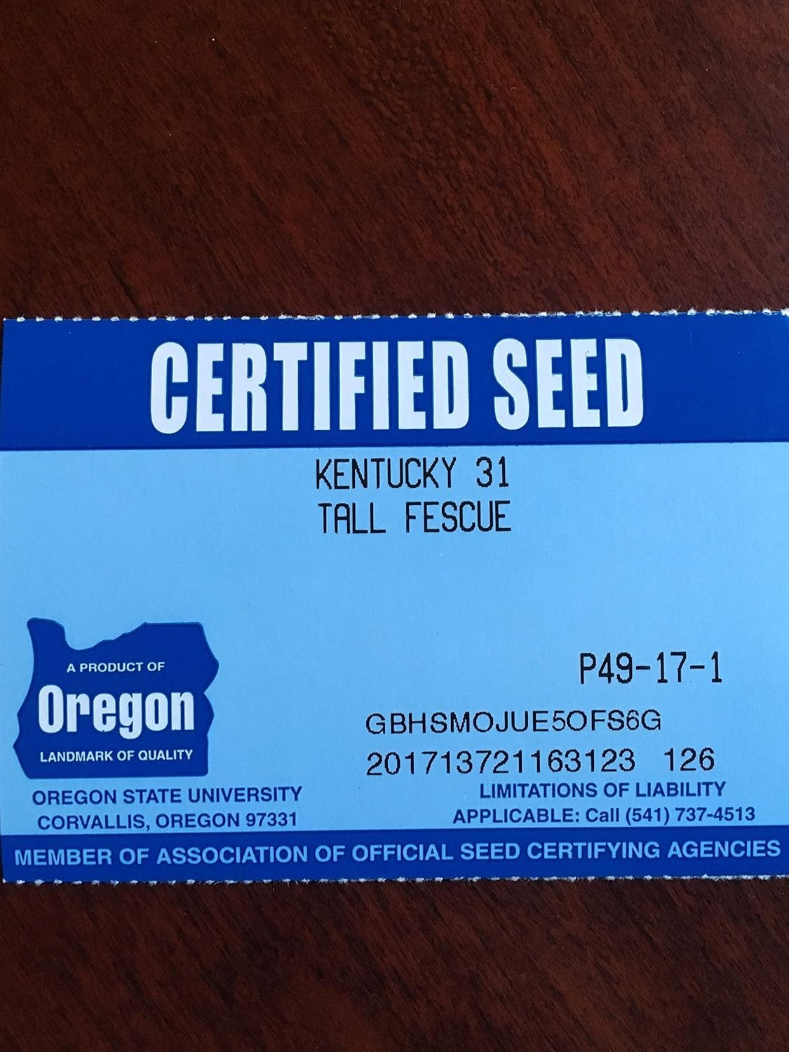 State Certified Kentucky 31 Tall Fescue Grass Seed 1lb – No Fillers, Non-GMO