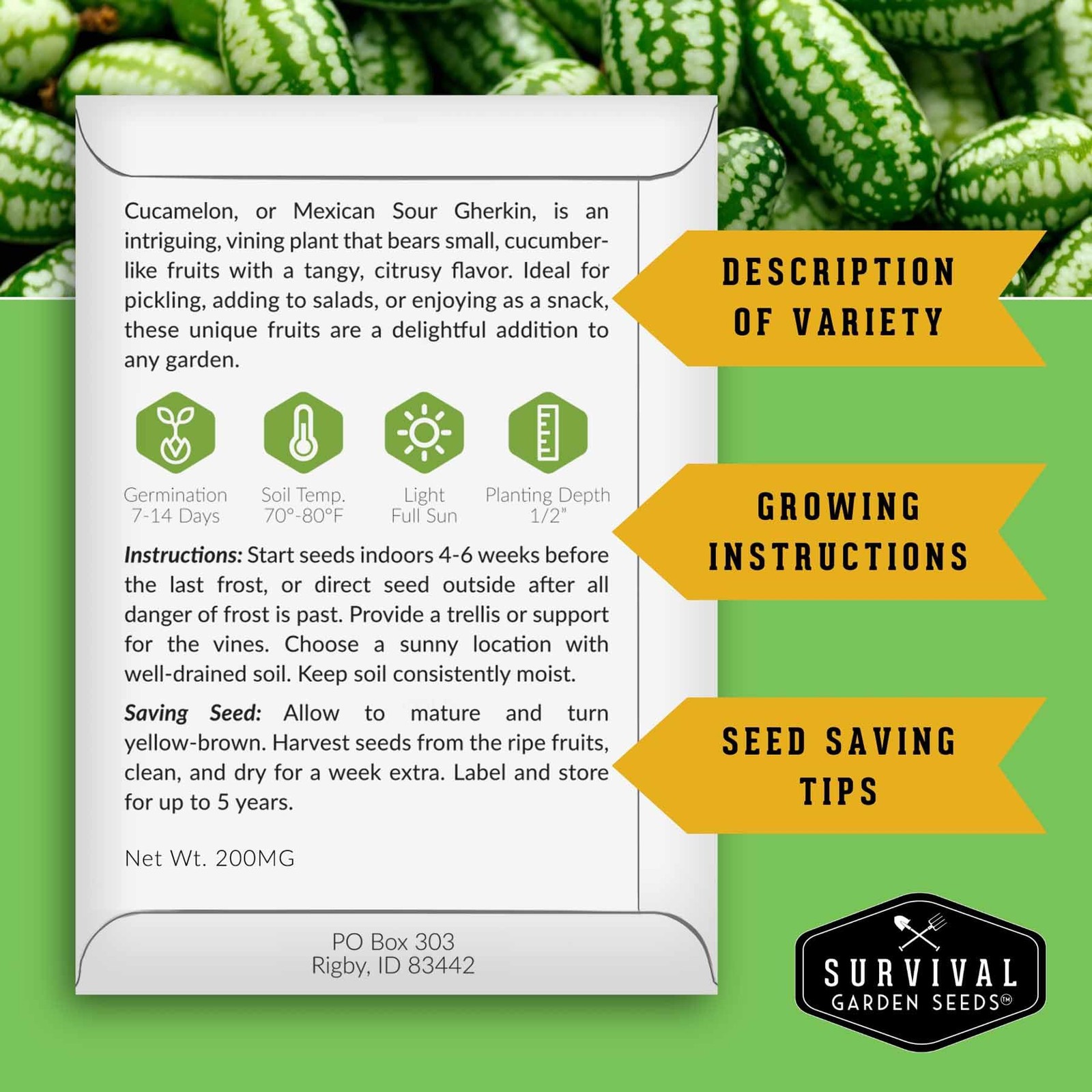 Cucamelon Seeds for Planting – Mexican Sour Gherkin Mini Watermelon Cucumber …