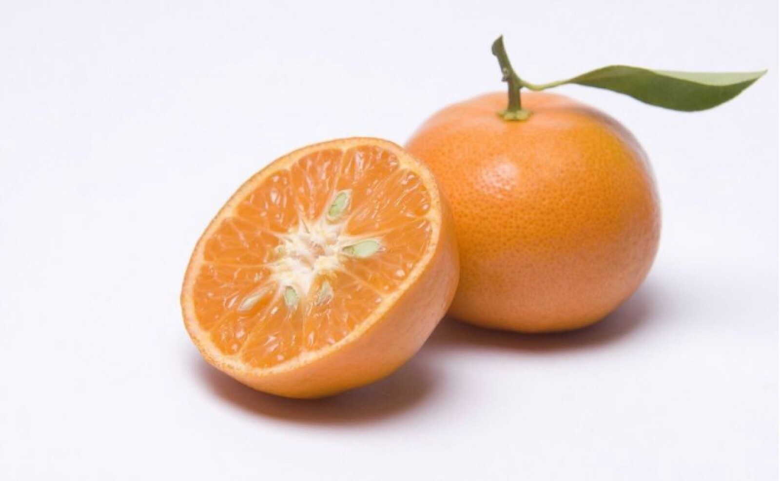 California only! Dancy Semi-Dwarf Tangerine Tree 18-36 inches tall, grafted