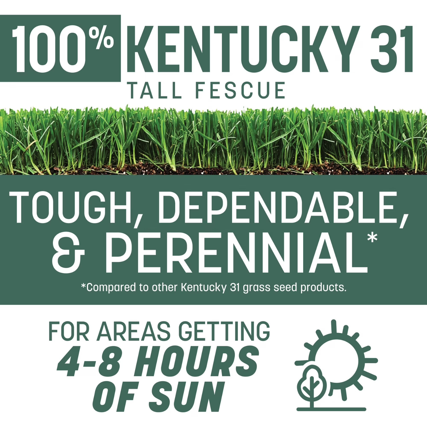 Hot Pennington Kentucky 31 Tall Fescue Grass Seed 40 lb Sun Shade Lawn Repair