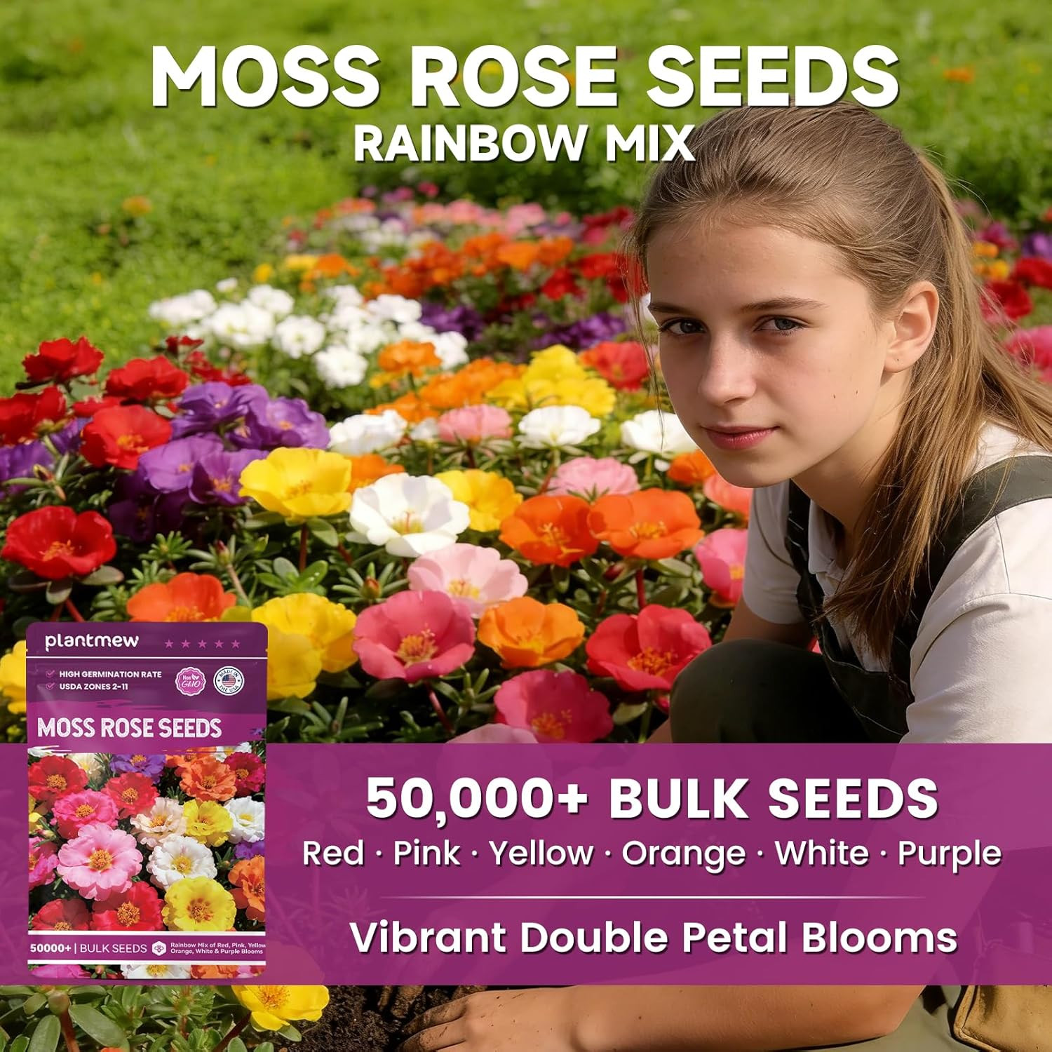Moss Rose Seeds Bulk Pack – 50,000+ Non-Gmo Heirloom Portulaca Seeds for Plantin