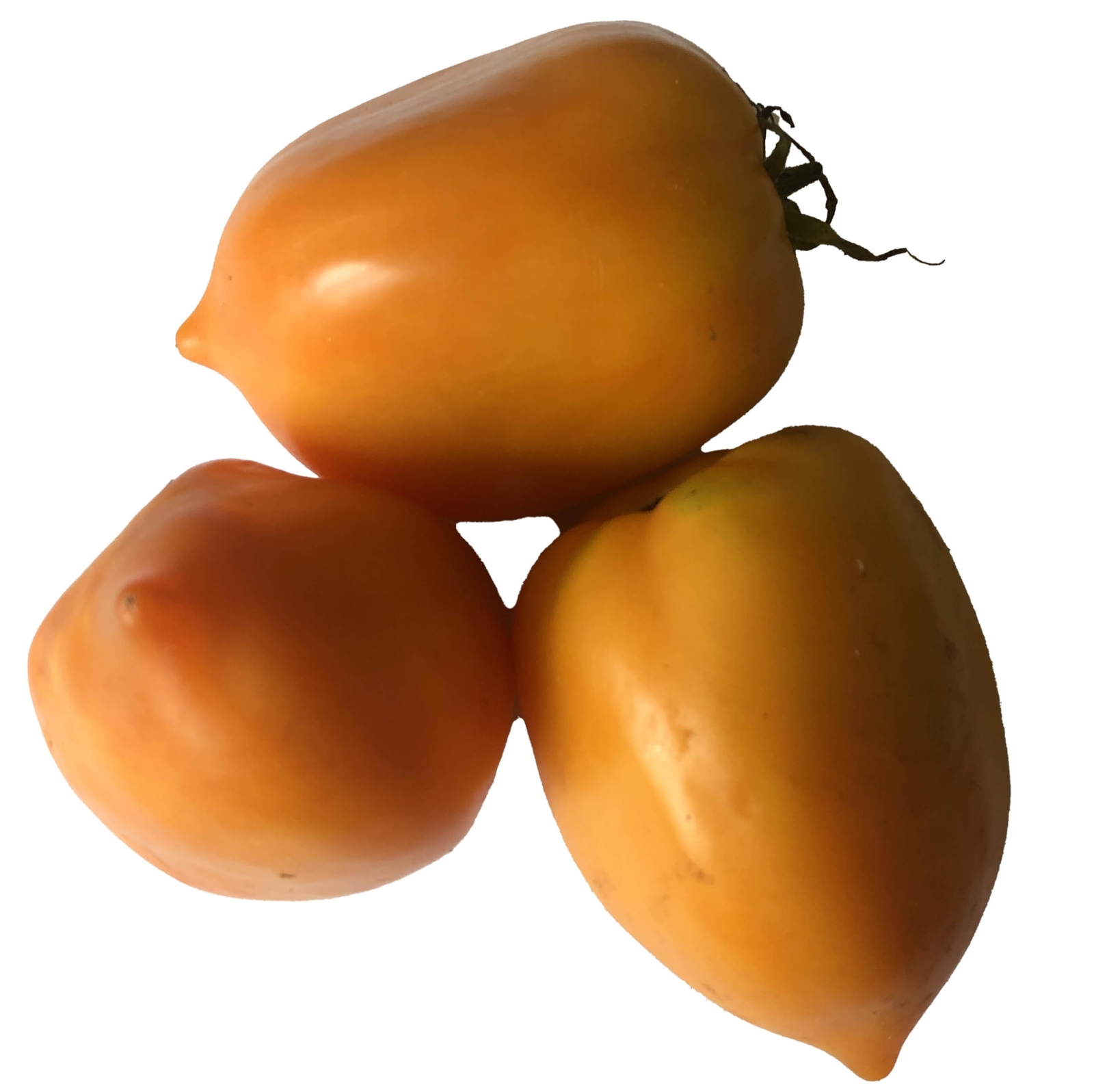 Organic Goldfish Tomato Seeds (Solanum lycopersicum) 150 Seeds (0.5 Grams)