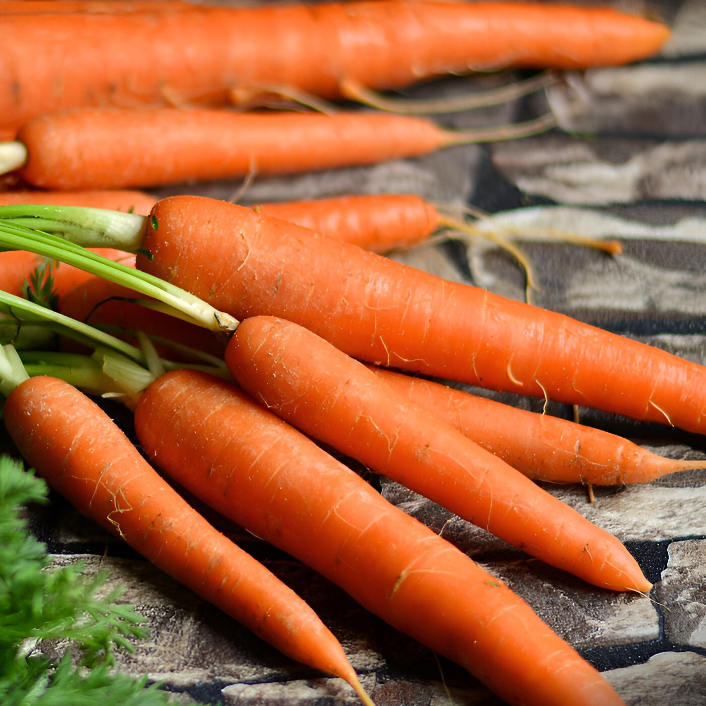 1,000 Heirloom Brilliance Carrot Seeds – Organic NonGMO Vibrant Orange Sweet
