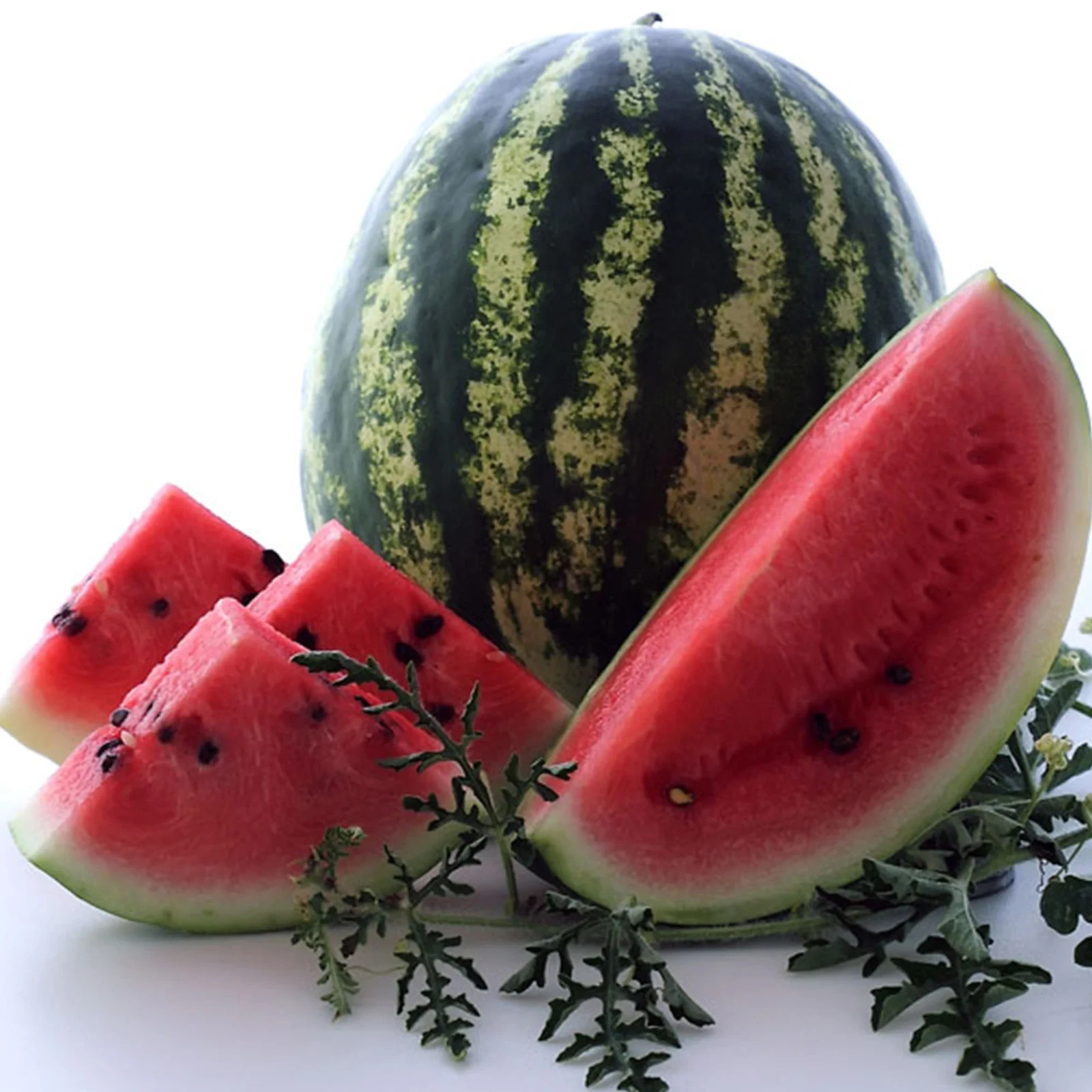25 Crimson Sweet Watermelon seeds, ORGANIC & Heirloom FREE S/H