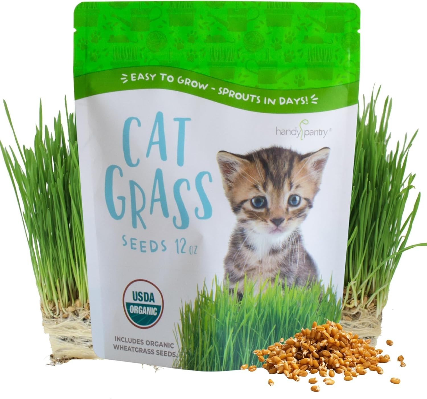 Organic Cat Grass Seeds – Non-GMO Wheatgrass, 12 oz Pet-Friendly Treat