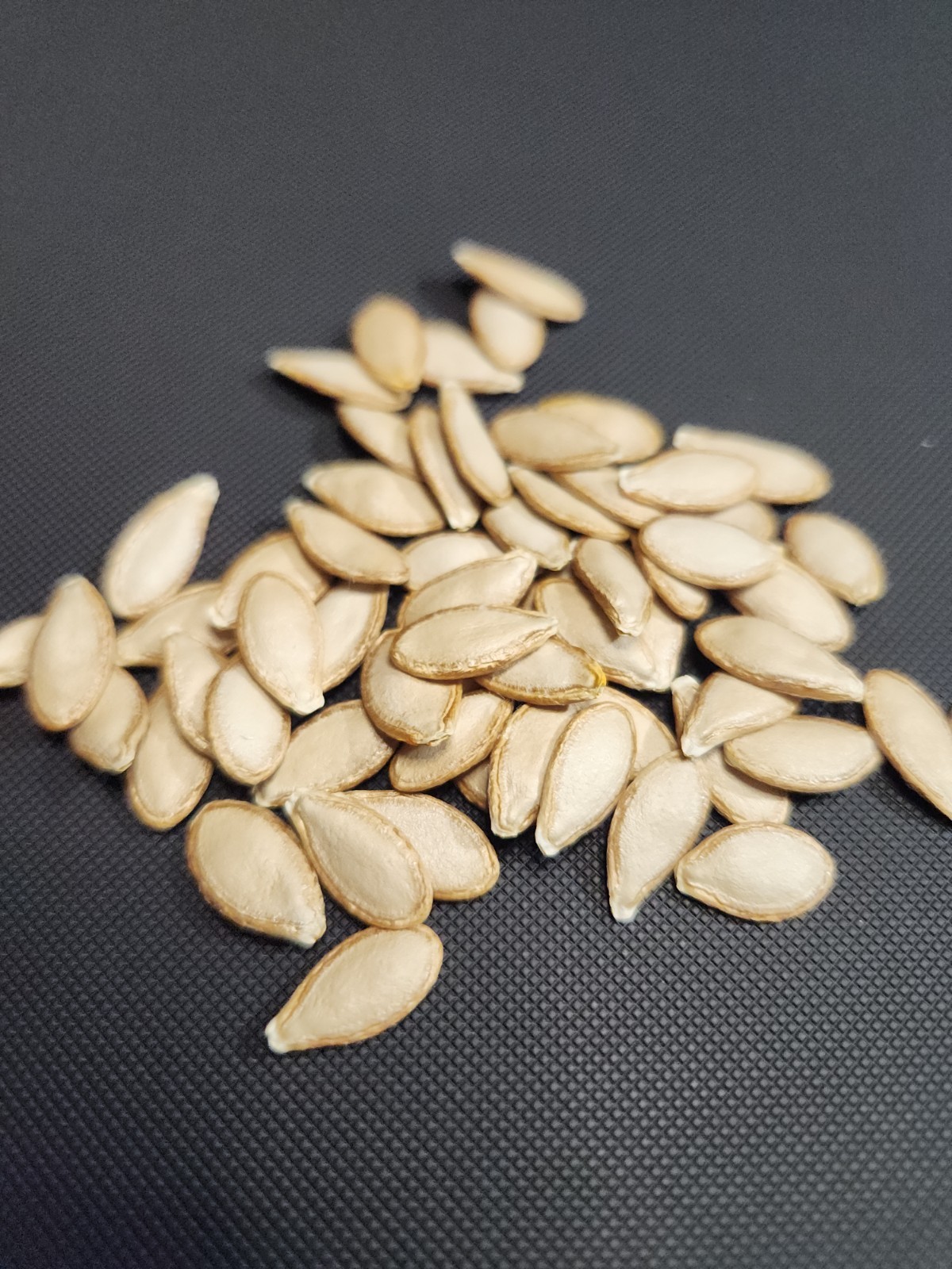 10 Seminole Pumpkin Seeds – Heirloom — Food Security — NON GMO Florida Grown