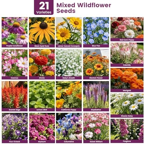 Bulk Wildflower Seeds 10000+ Non-GMO Butterfly Hummingbird Mix, 21 Varieties, Hi