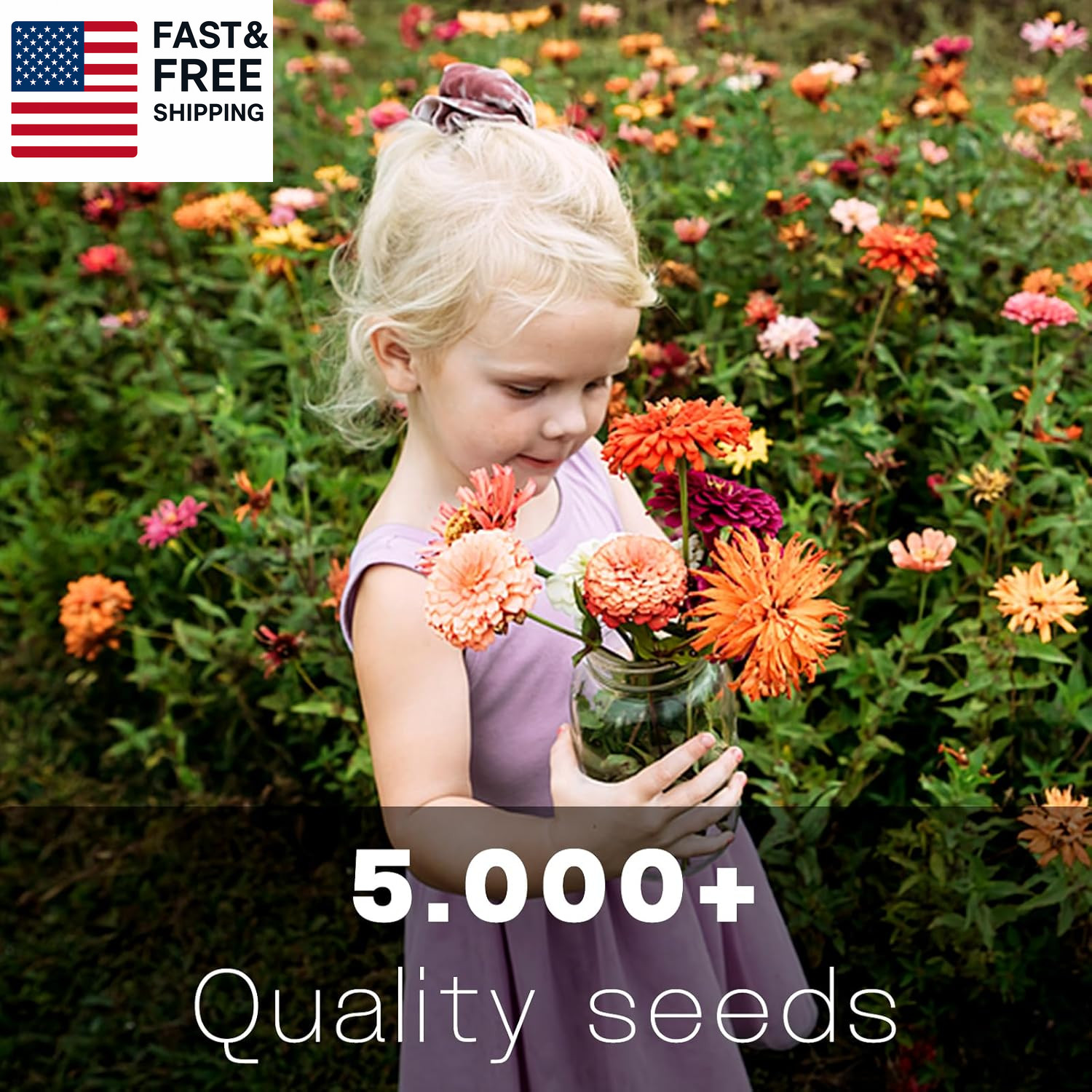 Zinnia Seeds Bulk 5,000+ | Outdoor Flower for Planting |Giant Zinnia Seeds for