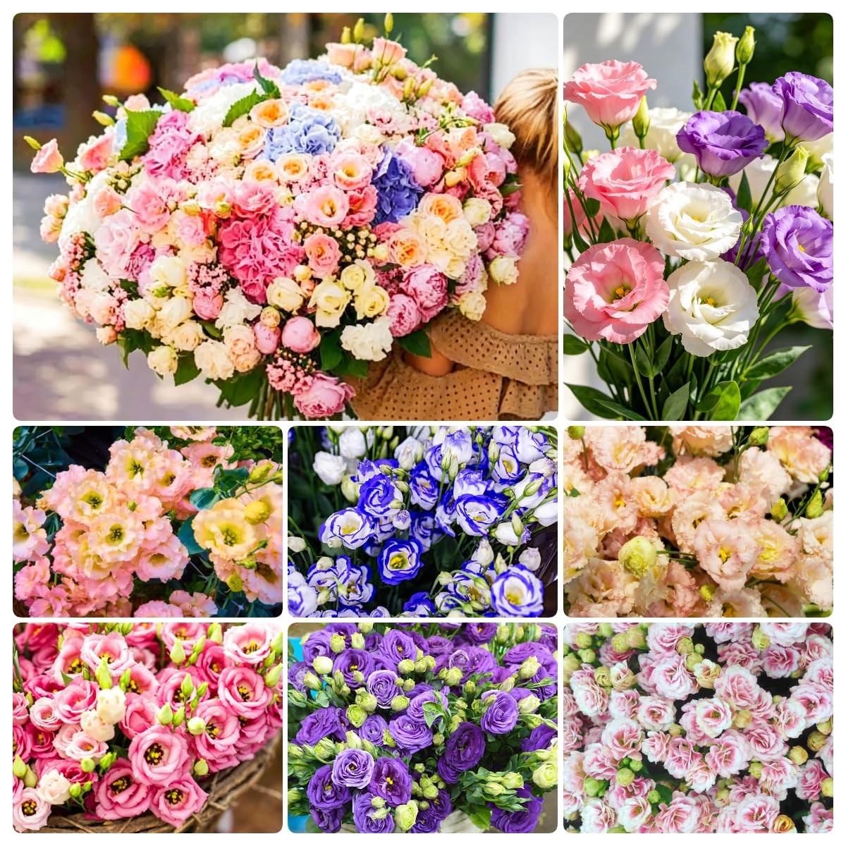 Mixed Lisianthus Seeds for Planting – 999+ Perennial Non-GMO Heirloom Seeds, …