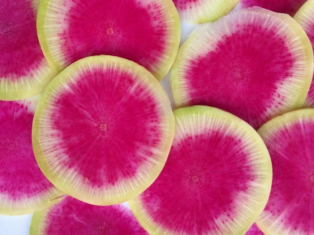 Watermelon Radish Seeds 200 Vegetable Garden NON-GMO USA SELLER FREE SHIPPING