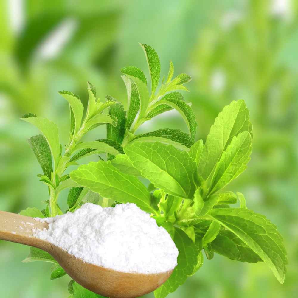 100 Seeds Stevia Seed – Sweet Leaf Herb Seeds