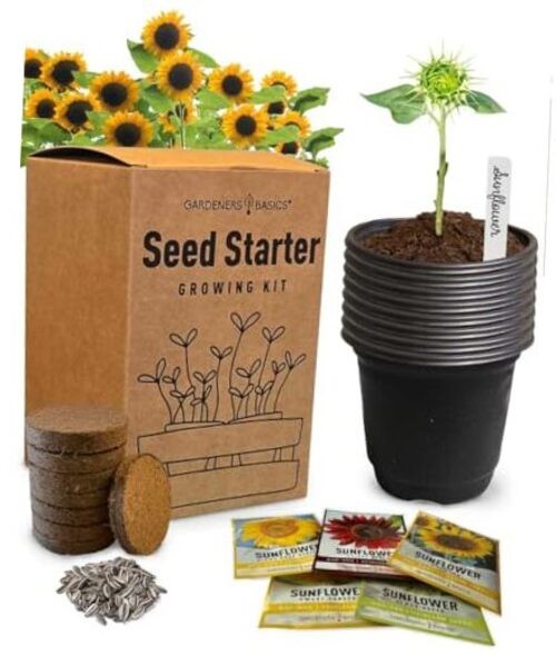 Sunflower Growing Kit – 5 Giant & Colorful Sunflowers Gifts for Women – Non