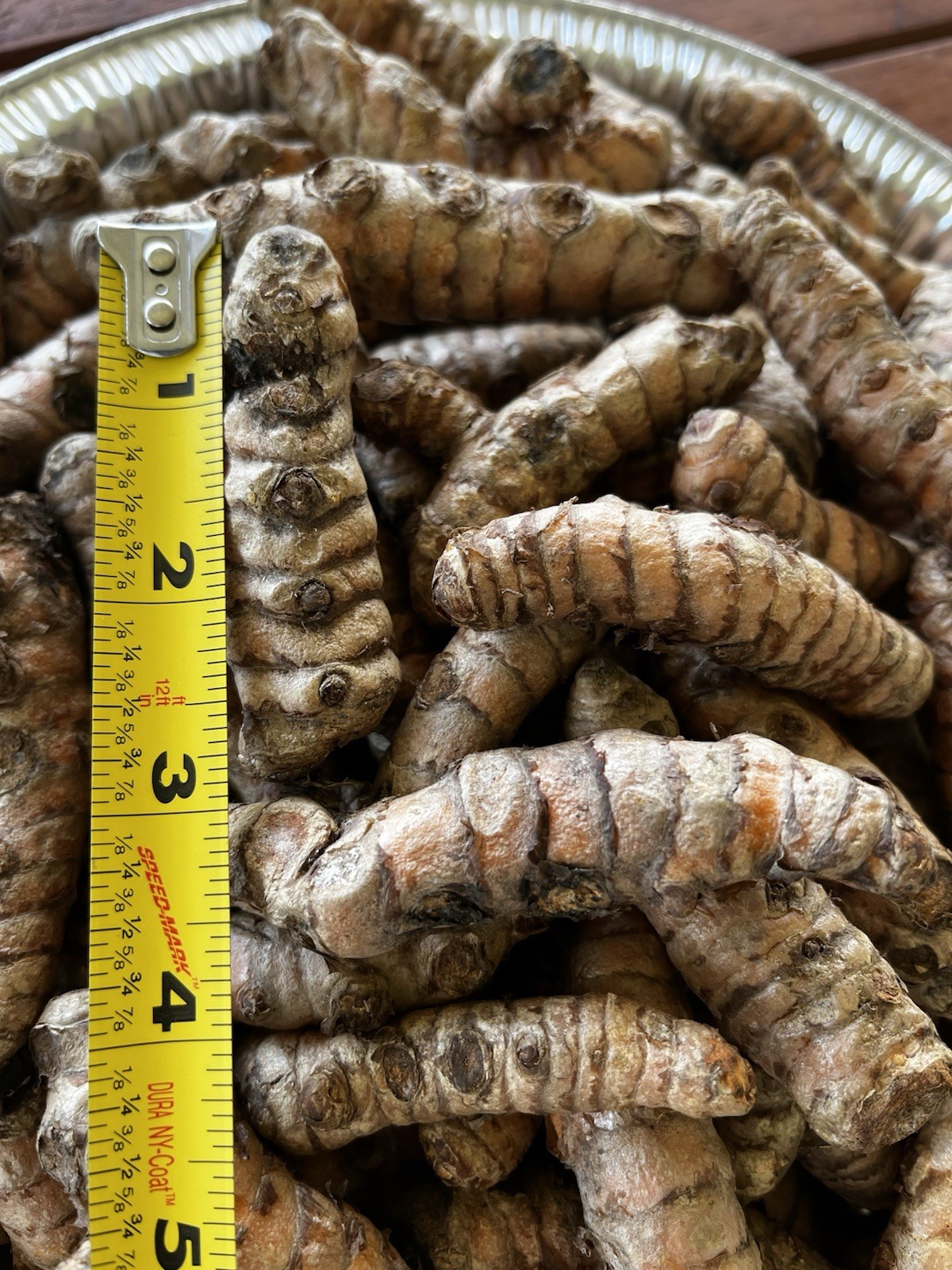 10 PCs Turmeric Roots Curcuma Longa Ready To Plant 3-4”-free shipping
