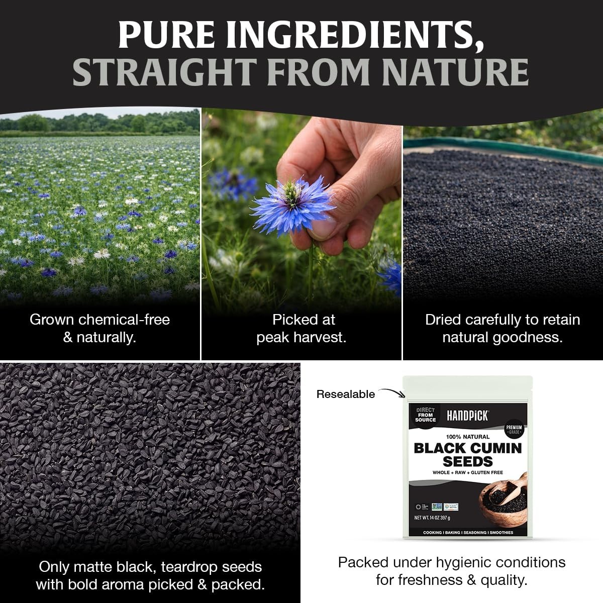 Black Cumin Seeds Whole Nigella Kalonji 14 oz Resealable Pouch