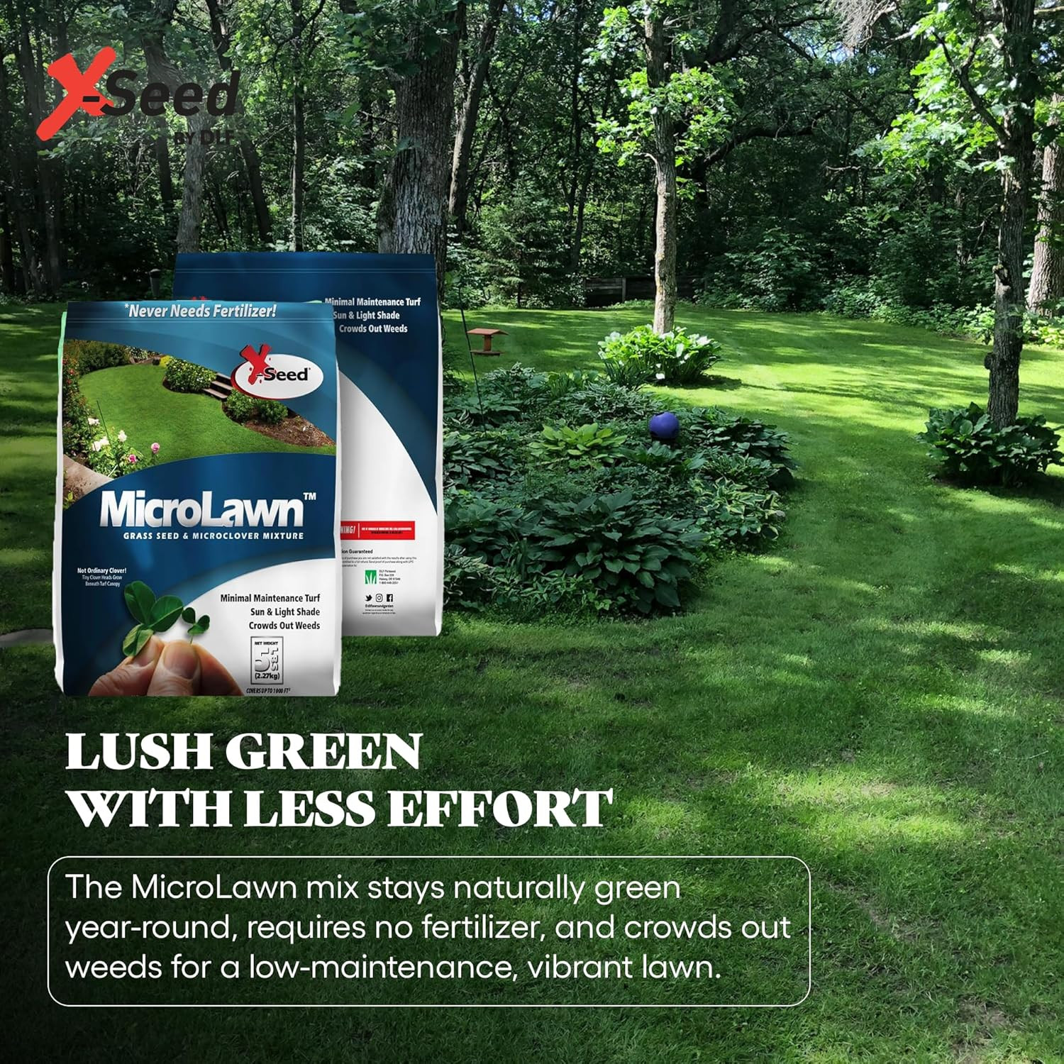 X-Seed Microlawn Grass Seed & Microclover Mix – Dense Self Feeding Lawn, Sun & S