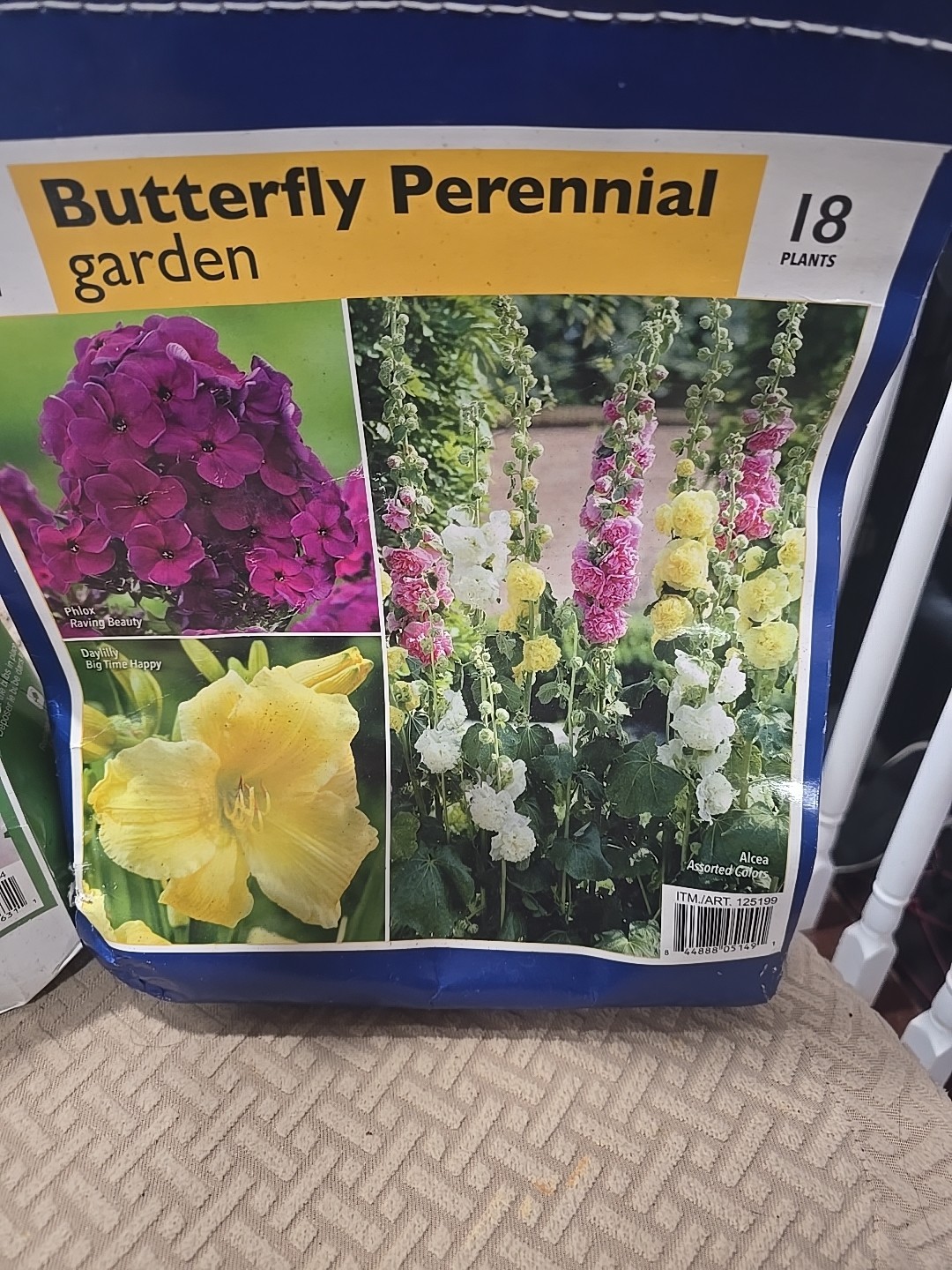 Dahlia Flower Bulbs Multicolor Perennial Outdoor Summer Full Sun Clumping
