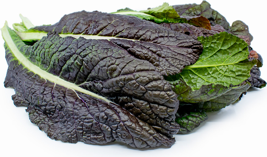 700 SEEDS JAPANESE GIANT RED MUSTARD GREEN FRESH SEEDS (USA)