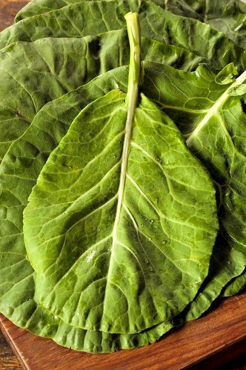 600+VATES COLLARD GREENS Seeds Heat Frost Tolerant Slow Bolt Garden Container