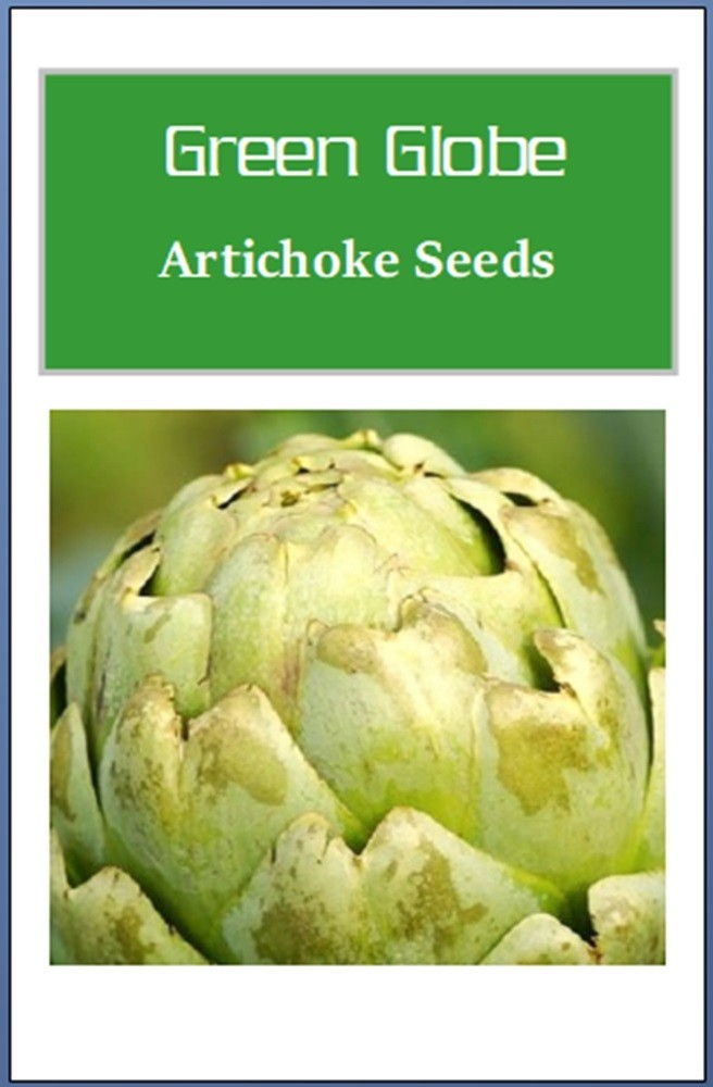 Green Globe Artichoke Seeds | NON-GMO | Heirloom | Fresh Garden Seeds