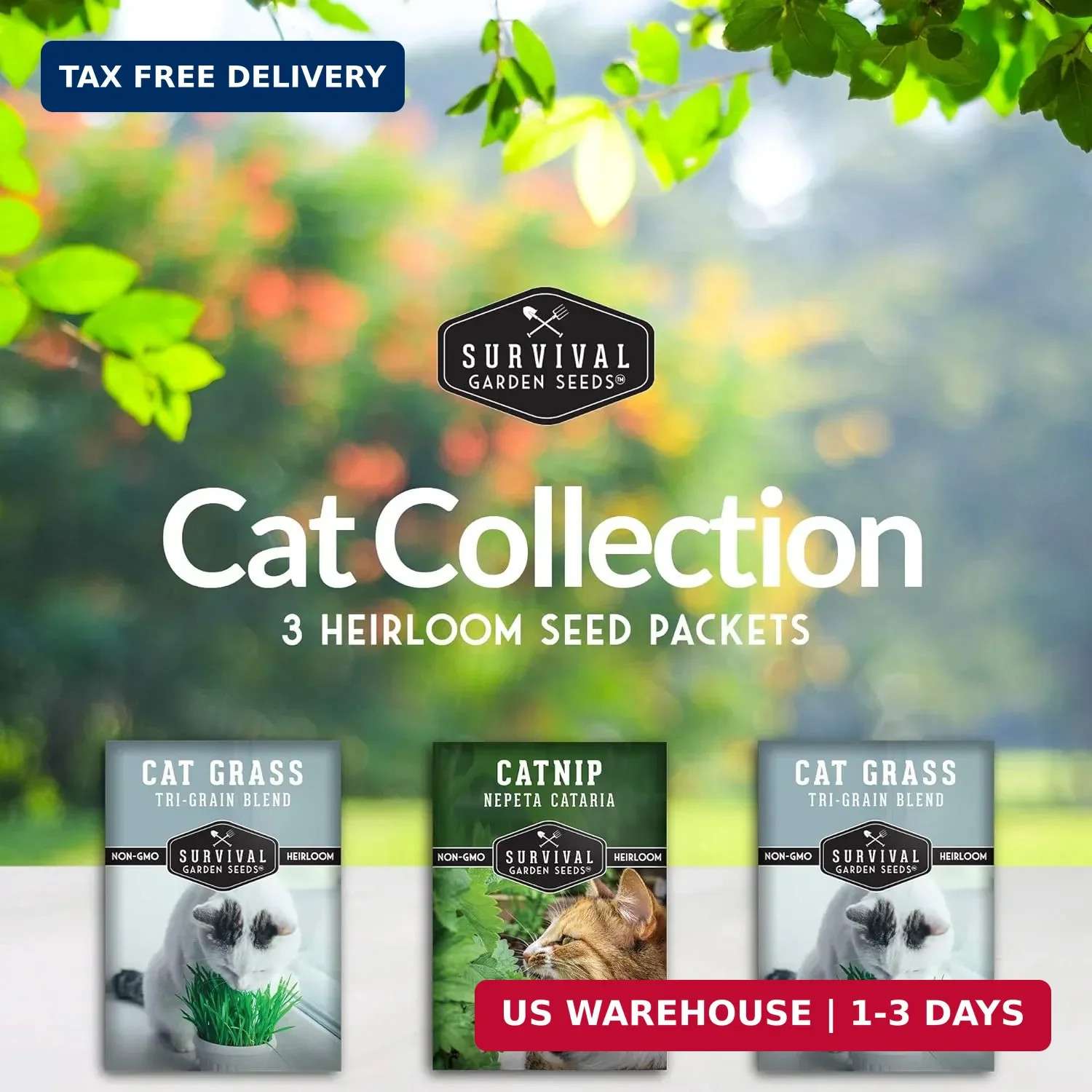 Cat Grass and Catnip Seeds Collection – 3 Packet Non-GMO Heirloom Planting Bundl