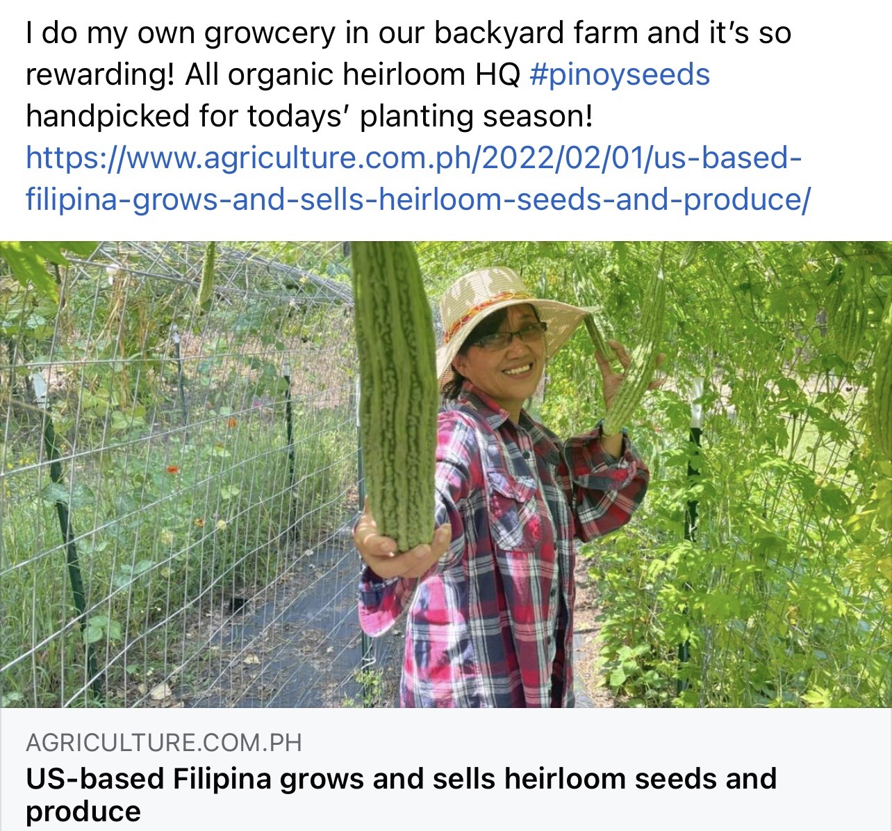 20+ Philippine Long Ampalaya- Organic Heirloom Bittergourd, Bittermelon Seeds