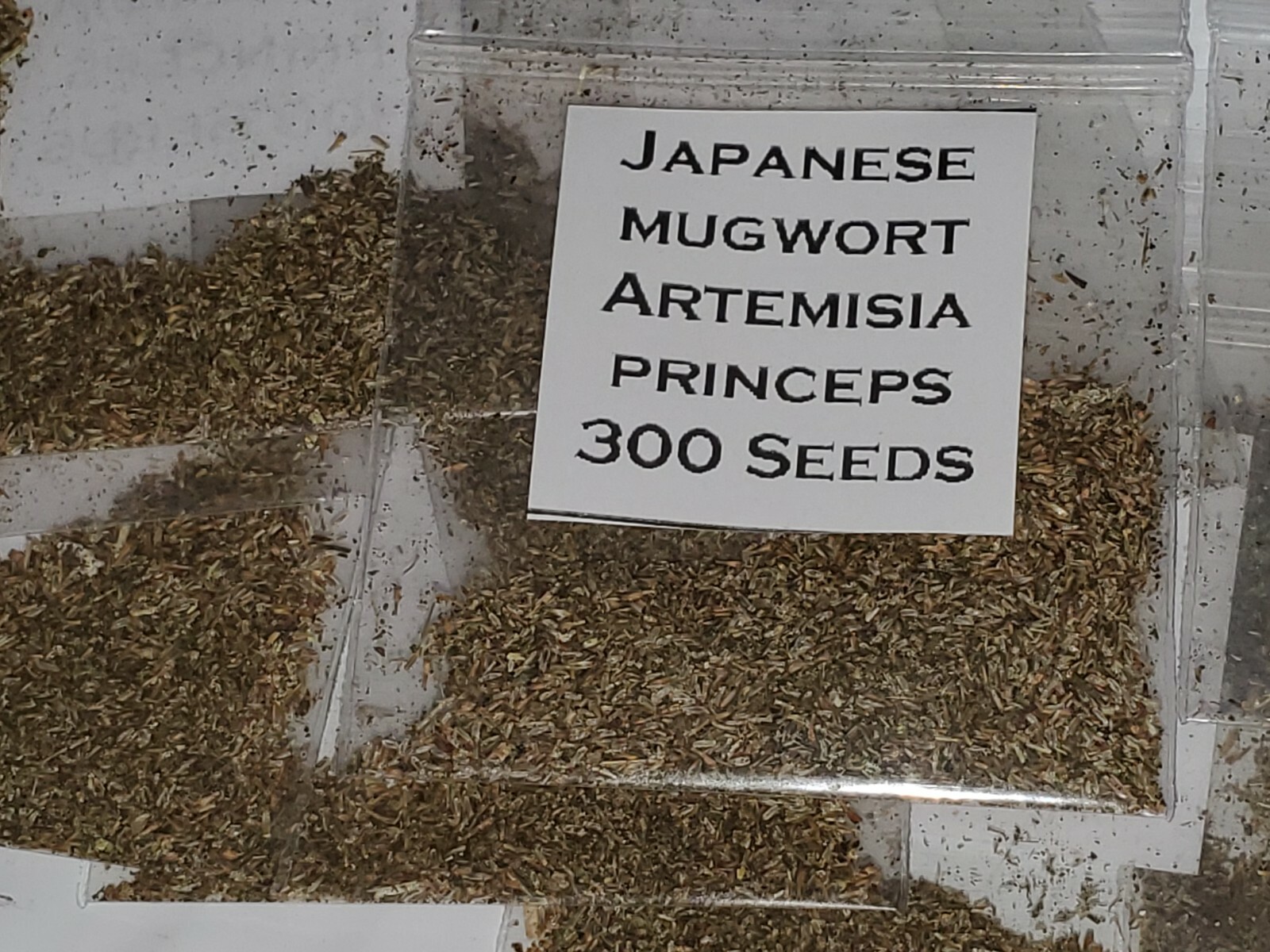 Japanese Mugwort Seeds (Artemisia princeps)