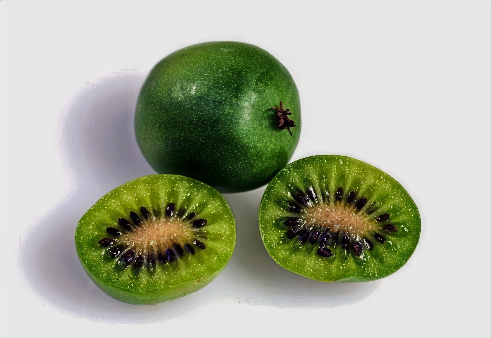 Issai Kiwi Seeds Arctic Grape Berry Superfruit Garden Plant Cold Hardy Fast Vine