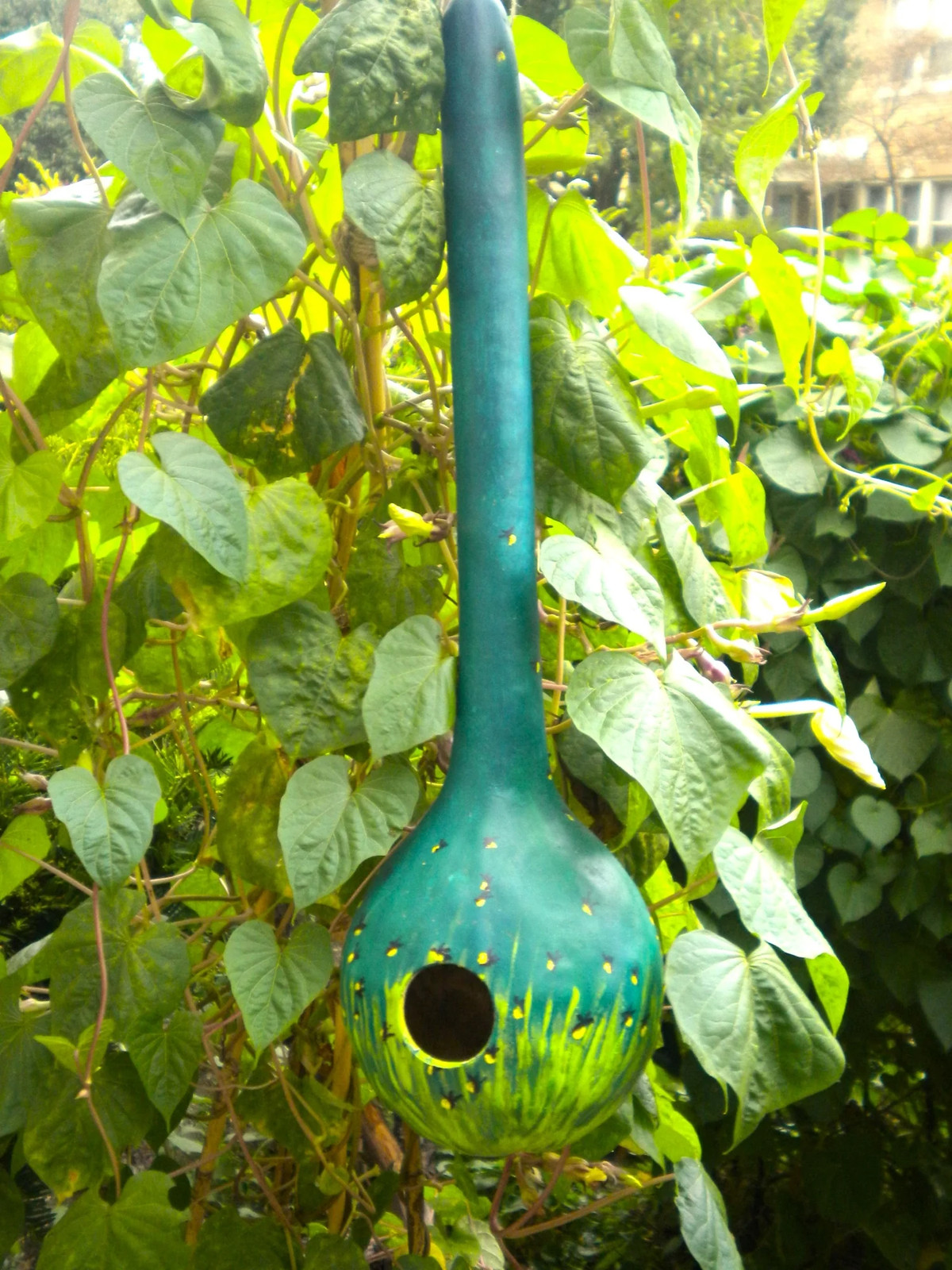 Long-Handled Dipper Gourd Seeds – For 2025 Planting Lagenaria Bottle Ornamental
