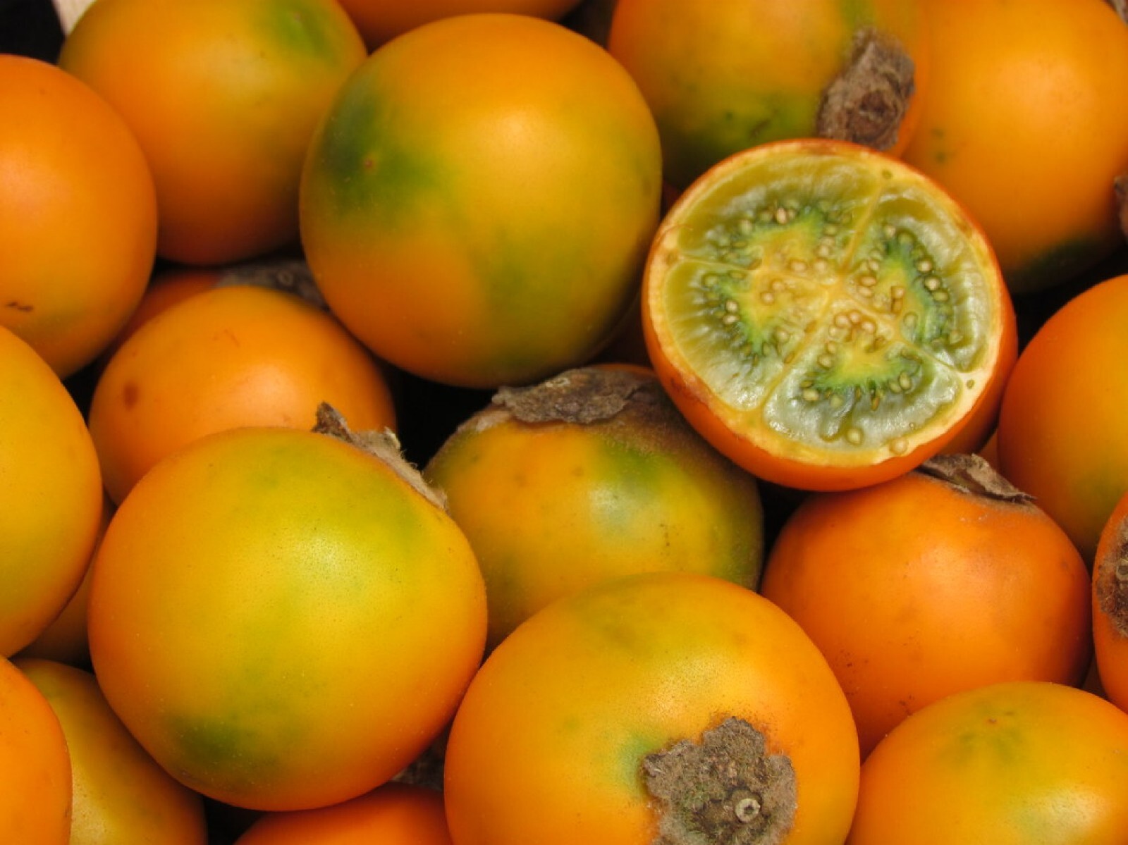 Lulo Orange Tree {Solanum quitoense} Organic 10 seeds Free Shipping!