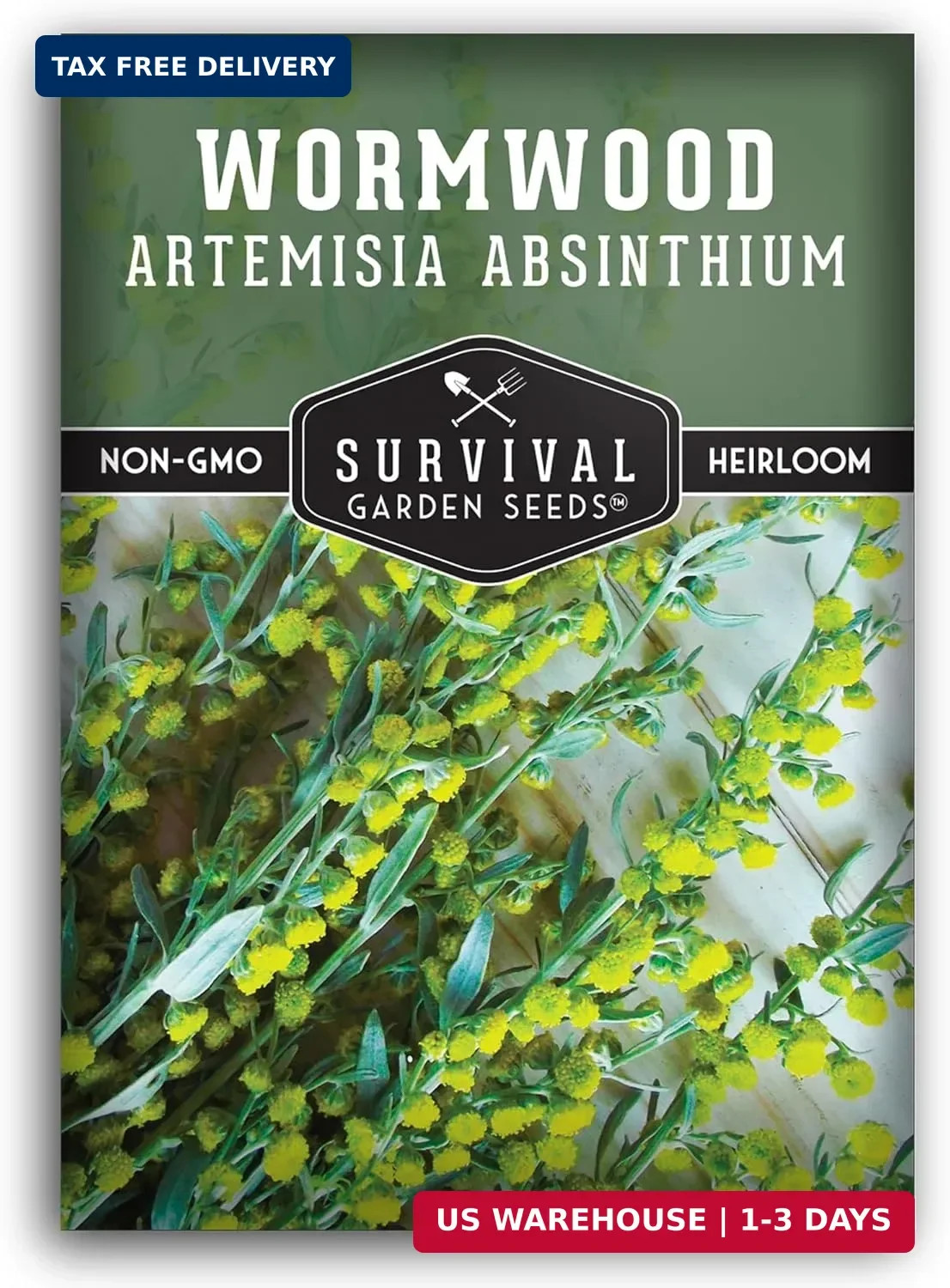 Survival Garden Seeds – Wormwood Seeds for Planting – 1 Packet with Instructions