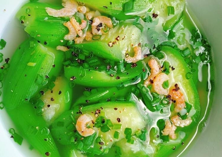 20+ Organic Luffa Gourd Seeds -Hột Mướp Hương -Organic NON-GMO – Free Shipping!
