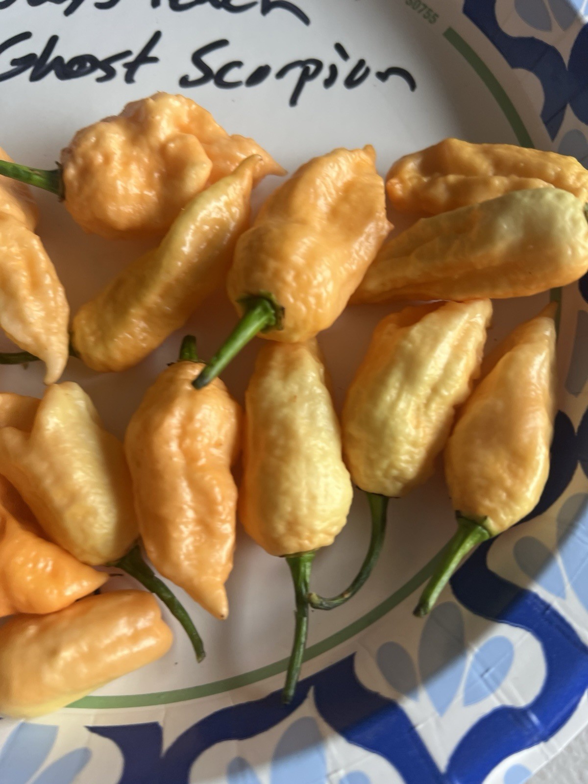 Jay’s Peach Ghost Scorpion Hot Pepper Seeds 15+ Per Pack