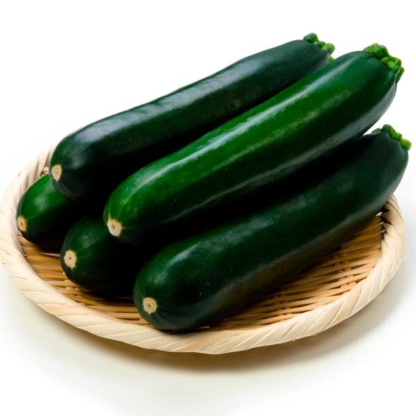 Zucchini Prolific Straightneck yellow or Elite green Summer Squash,NON GMO seeds