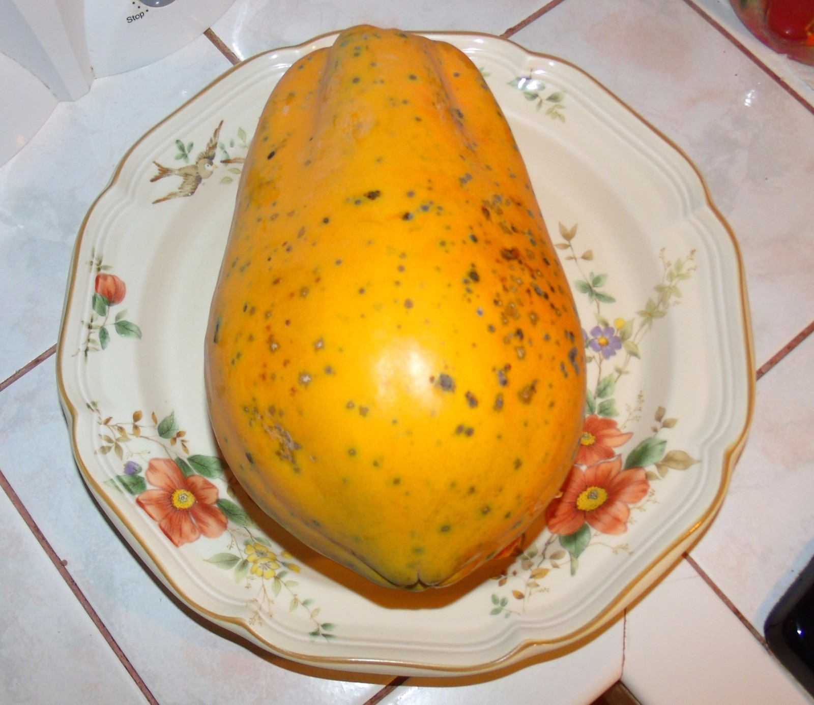 VARIOUS PAPAYA BEST SUPER SWEET SEEDS/ MIX