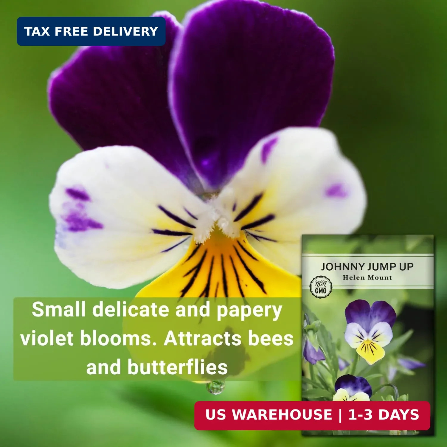 Sow Right Seeds – Violet, Johnny Jump-Up Flower Seed for Planting – Beautiful Fl