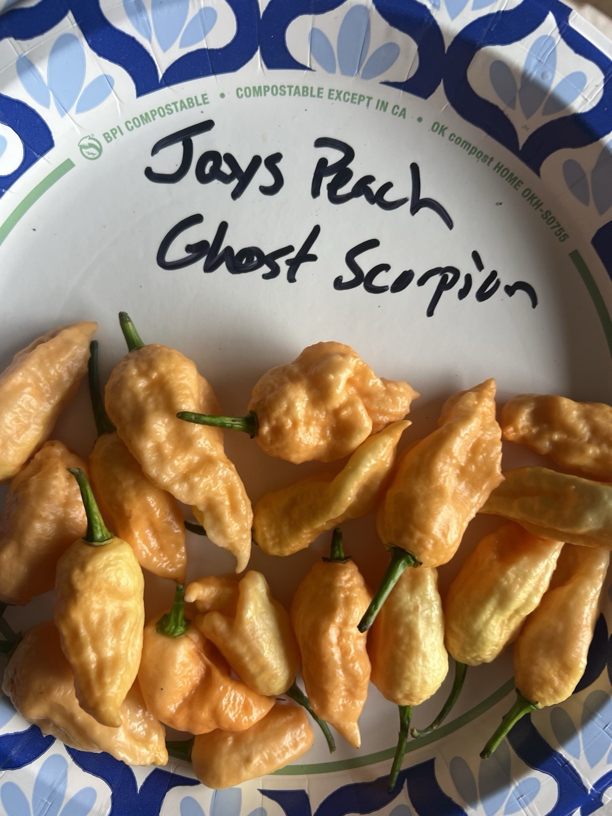 Jay’s Peach Ghost Scorpion Hot Pepper Seeds 15+ Per Pack