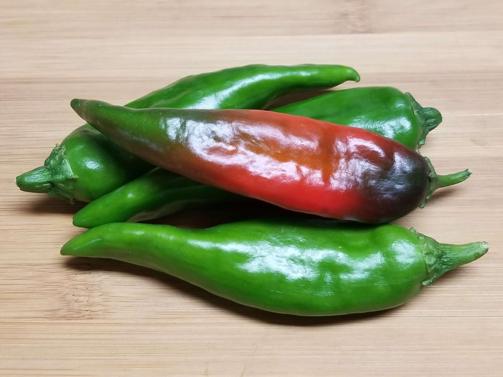 Hatch Lumbre Chili Pepper Seeds, NuMex, XXX Hot Green Chile, Ristra, FREE SHIP