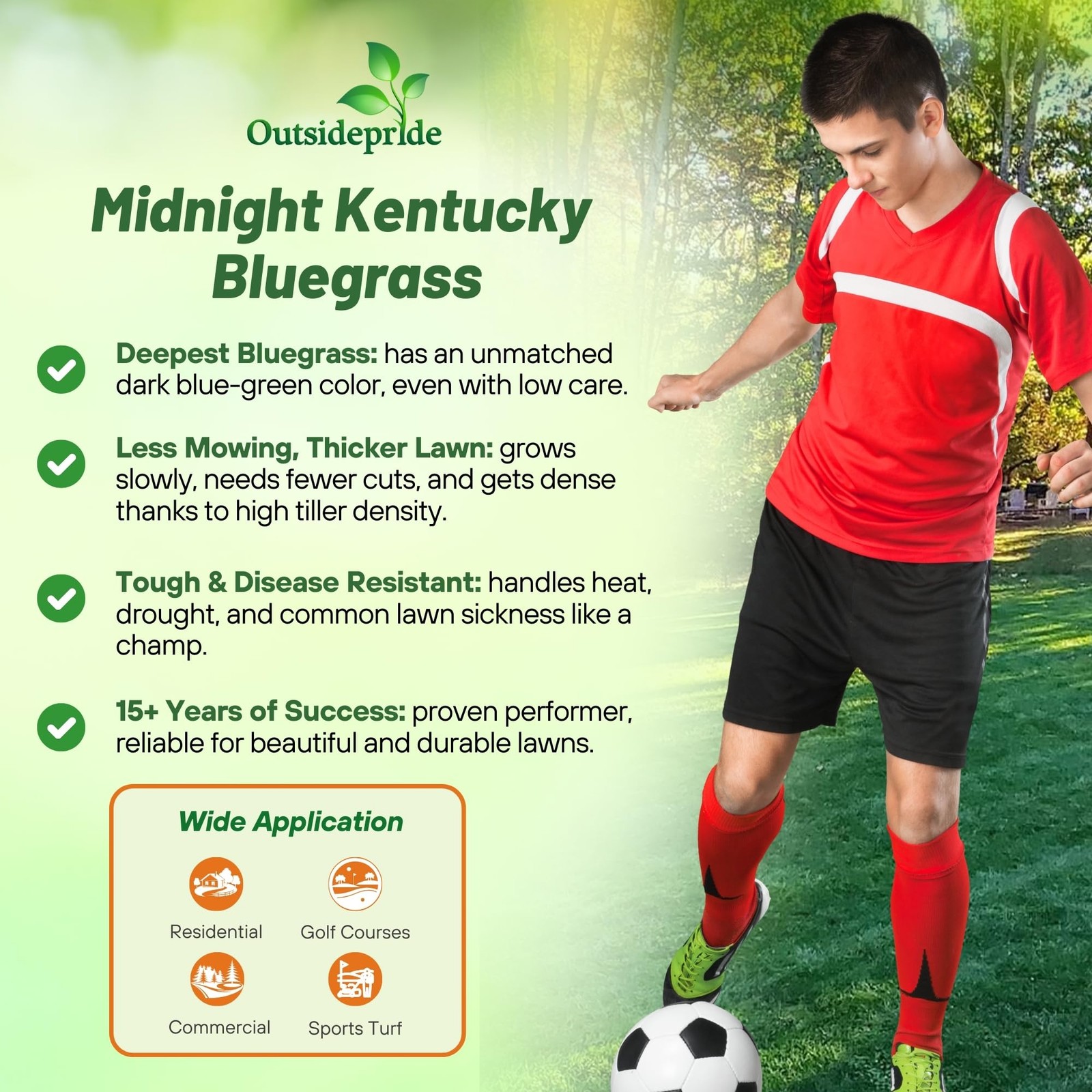 Midnight Kentucky Bluegrass – 10 Lbs. Cold & Drought Tolerant, Sun-Loving Law…
