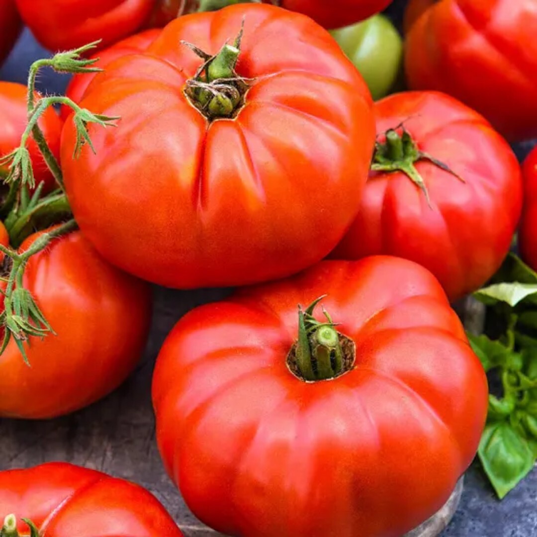 Beefsteak Tomato Seeds | NON-GMO | 100 Seeds| Indeterminate |
