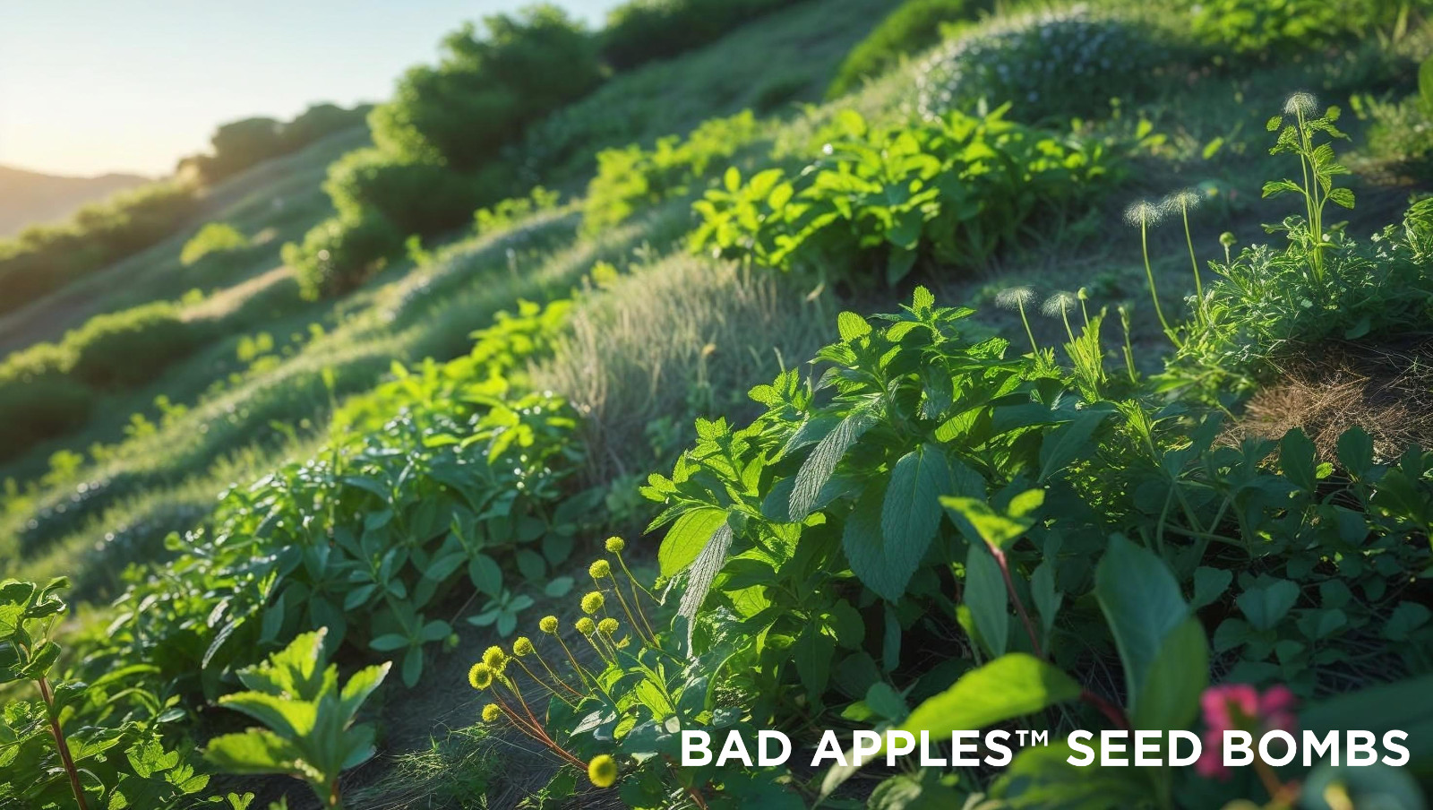 Bad Apples™ The Bad Seed – Aggressive Seed Mix – DIY Guerrilla Garden Seeds
