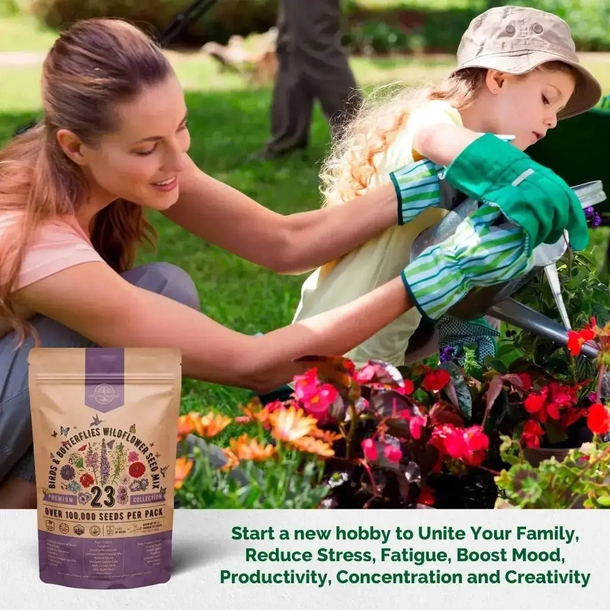 23 Wildflower Seeds Annual & Perennial Mix