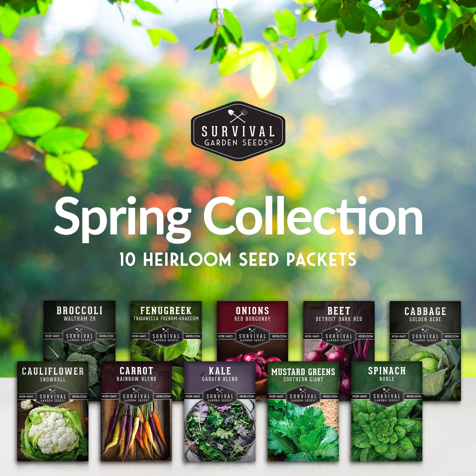 Spring Vegetable Seed Collection 10 Heirloom Non-GMO Seeds – Cool Weather Garden