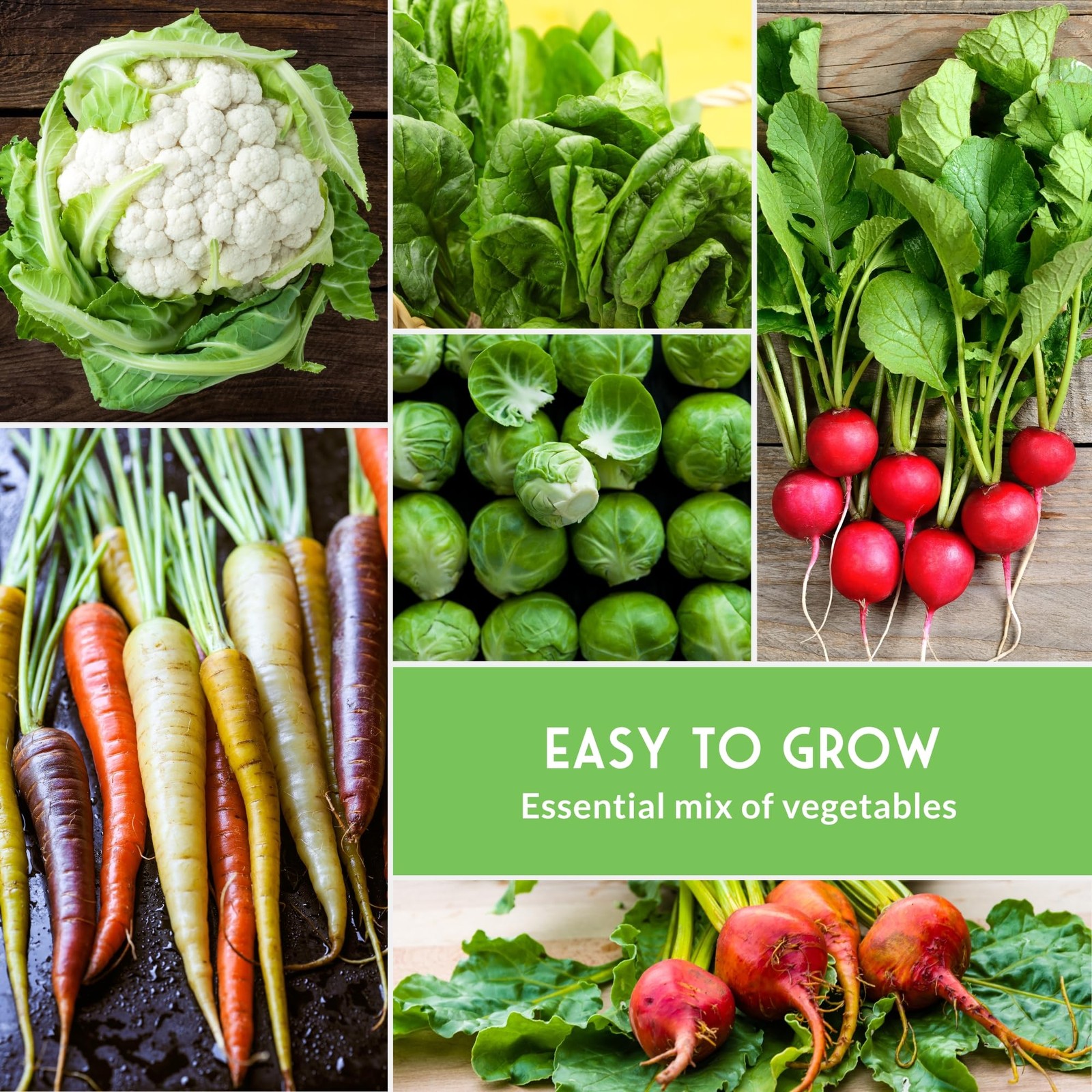 Fall Vegetable Seeds Collection – 8 Packs of Non-GMO Heirloom Cool Weather Se…