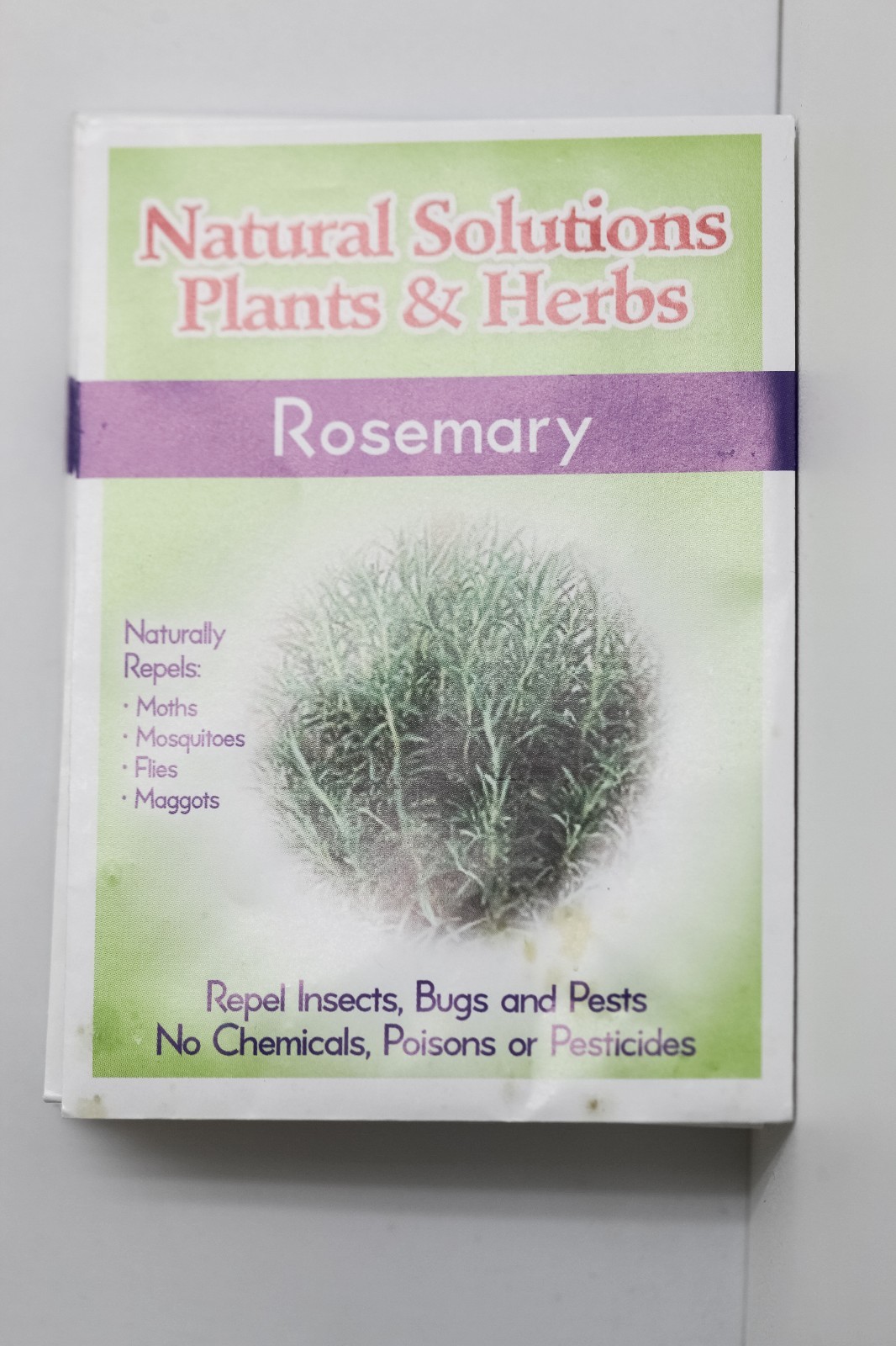 Natural Solutions Plants & Herbs Variety 10 pack of Seeds Holistic Remedies Pest