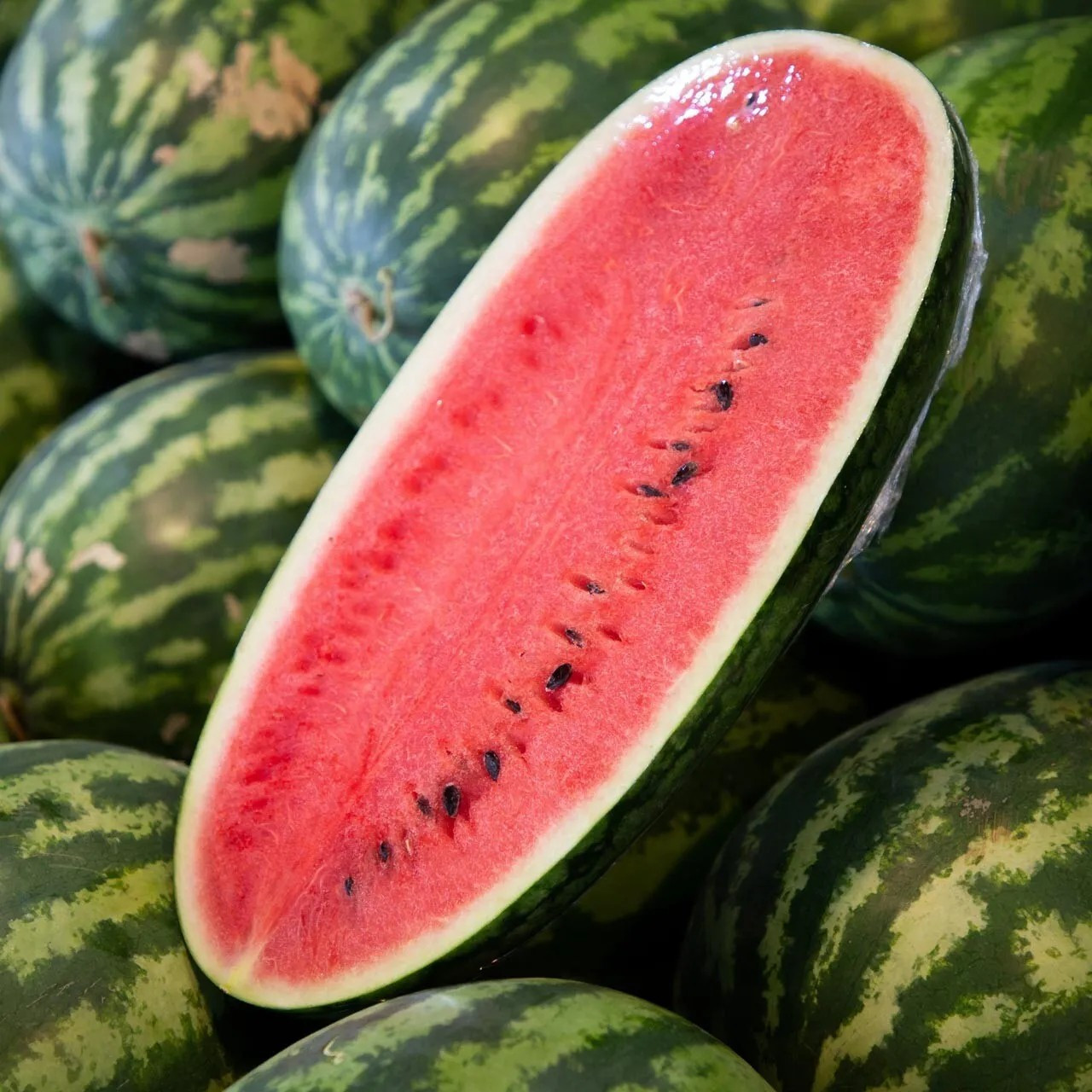 12 CONGO Watermelon Seeds – Large – NON GMO – HEIRLOOM – ORGANIC – RARE