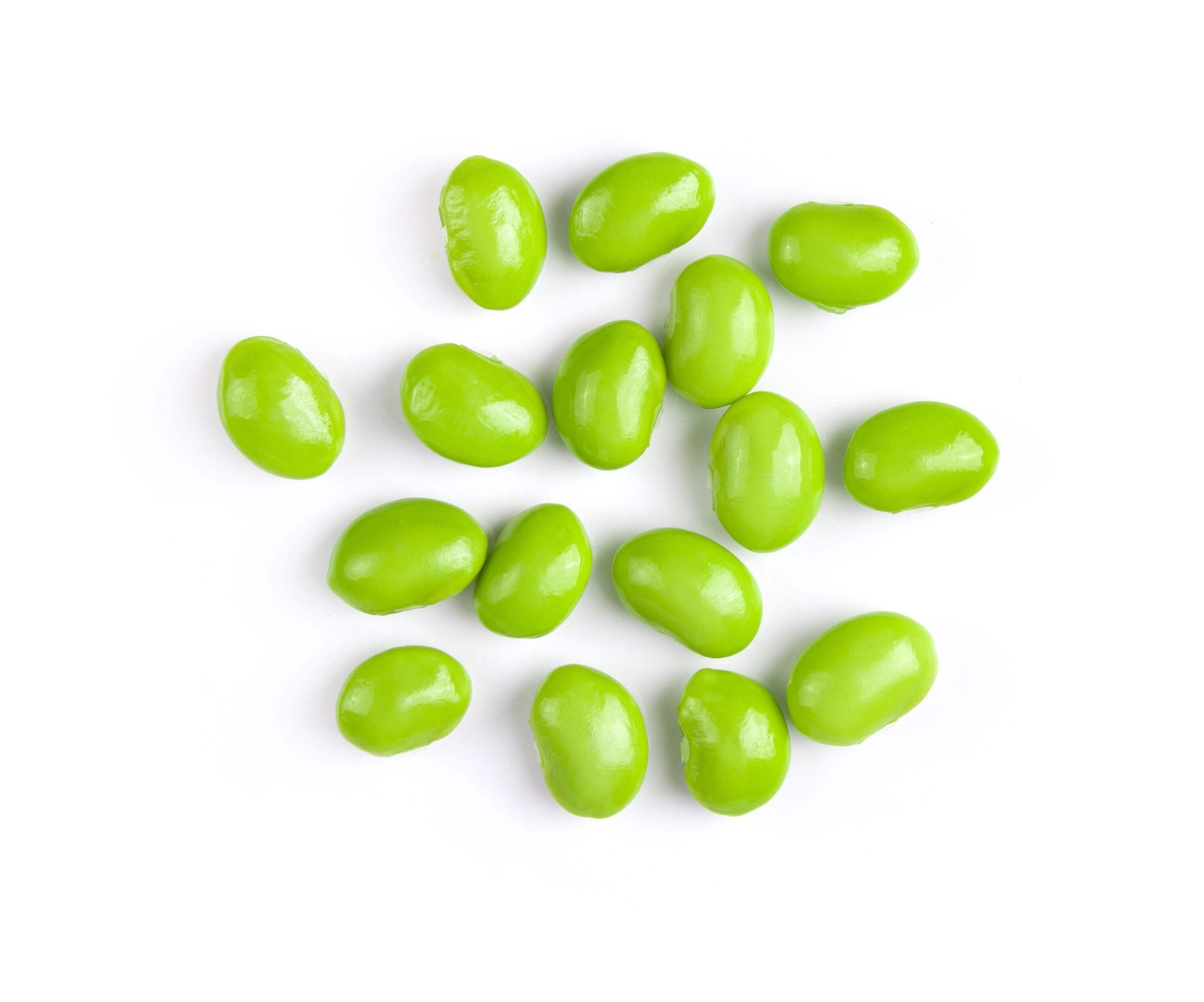 20 Organic MIDORI GIANT SOYBEAN Edamame Glycine Max Green Bean Vegetable Seeds